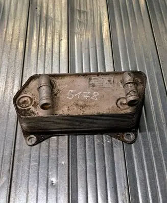 Volkswagen PASSAT B6 Engine oil radiator 02E409061B 47034 026231205