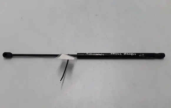 Tailgate strut