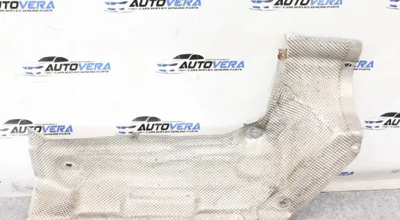 Exhaust heat shield