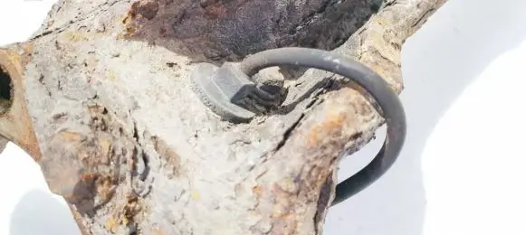 Volvo S80 ABS brake wheel speed sensor