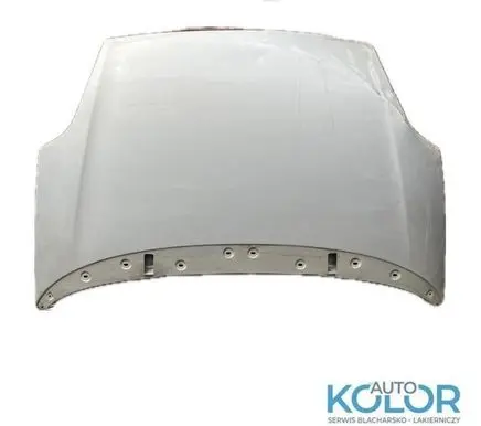Fiat Punto Evo Engine bonnet/hood