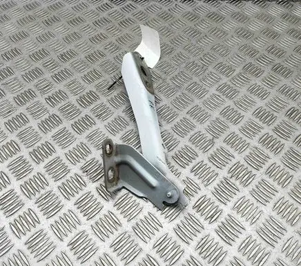 Opel Movano B Engine bonnet/hood hinges 654010006R