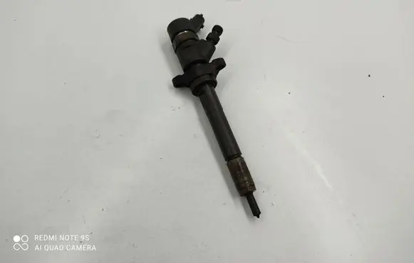 Citroen C5 Fuel injector 7810553131402