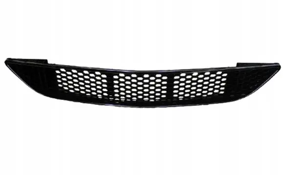 Mercedes-Benz CL C216 Front bumper lower grill A2168850953