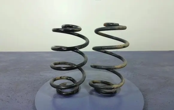 Renault Modus Rear coil spring