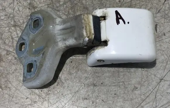 Peugeot Expert Rear door lower hinge 9820017880