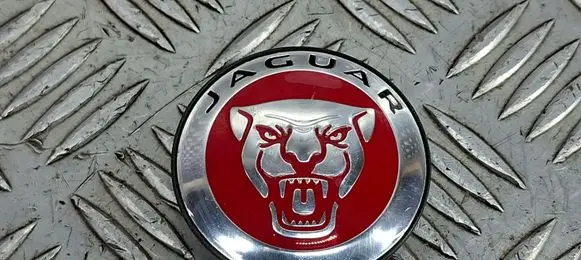 Jaguar XE Original wheel cap