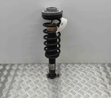 BMW X3 F25 Rear shock absorber/damper 6796317