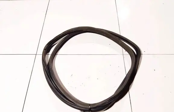 Nissan Pathfinder R51 Rubber seal front coupe door 