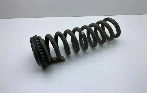 Dodge Charger Rear coil spring