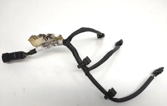 Ford Focus Fuel injector wires Cm5g9f666