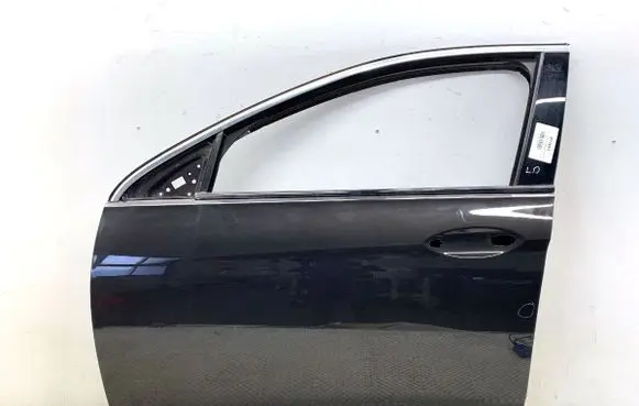 Opel Insignia B Front door 