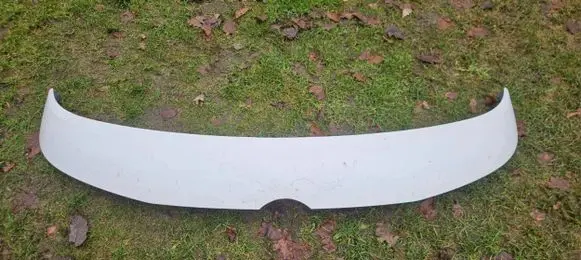 Volkswagen ID. Buzz Engine bonnet/hood 1T3854700