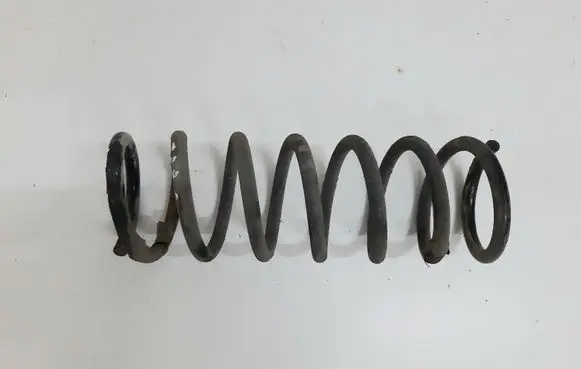 Rear coil spring