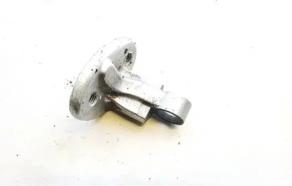 Rear door lower hinge