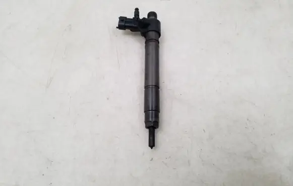 Land Rover Evoque I Fuel injector 9687454480