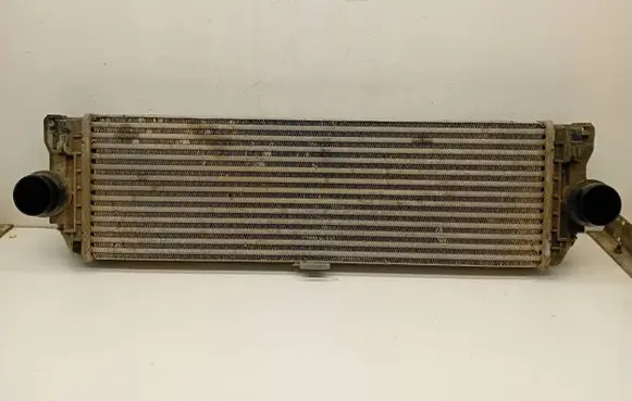 Volkswagen Crafter Intercooler radiator A9065010201 2E0145804A 6819171