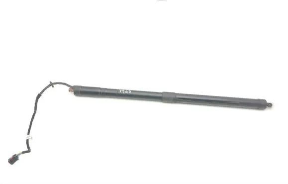 Tailgate strut