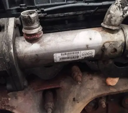 EGR valve cooler