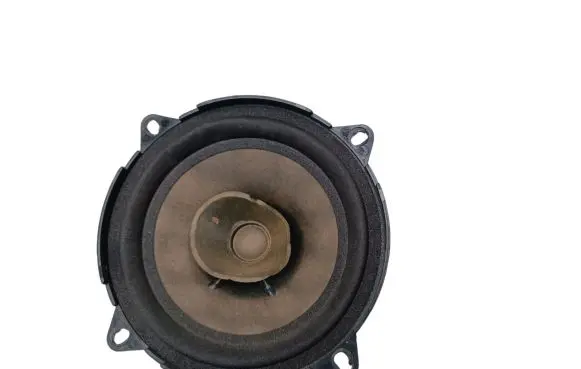 Dacia Sandero Front door speaker 9200715163
