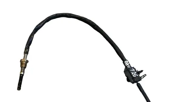 Exhaust gas temperature sensor