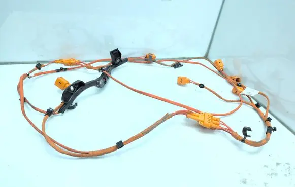 Cupra Born Other wiring loom 1EA971398