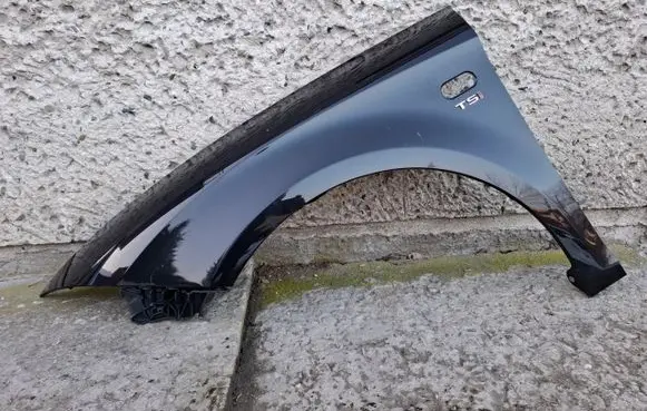 Seat Leon (1P) Fender 