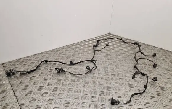 Other wiring loom