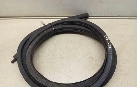 Volkswagen Golf VI Front door rubber seal