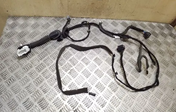 Chevrolet Captiva Rear door wiring loom 95083429