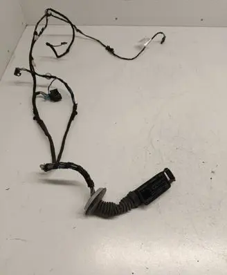 Front door wiring loom