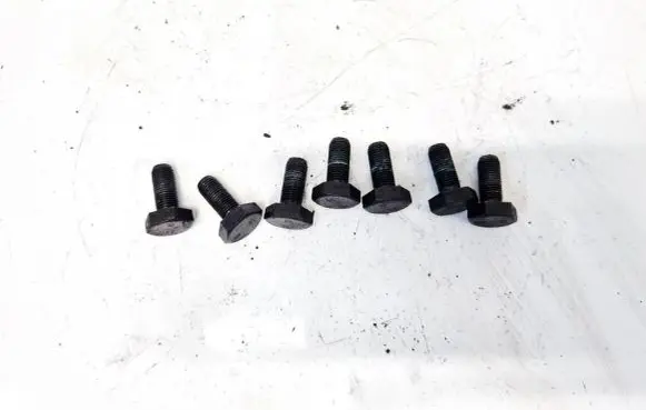 Renault Scenic I Nuts/bolts 