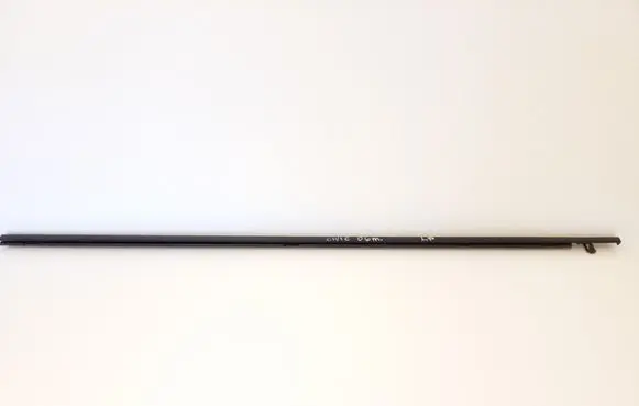Honda Civic Front door glass trim molding