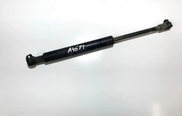 Tailgate/trunk strut/damper