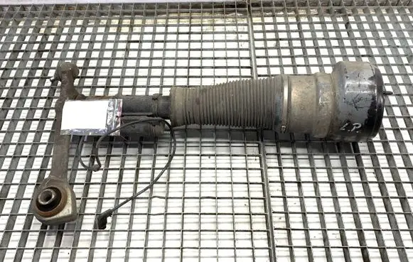 Mercedes-Benz S W221 Front shock absorber/damper C086105