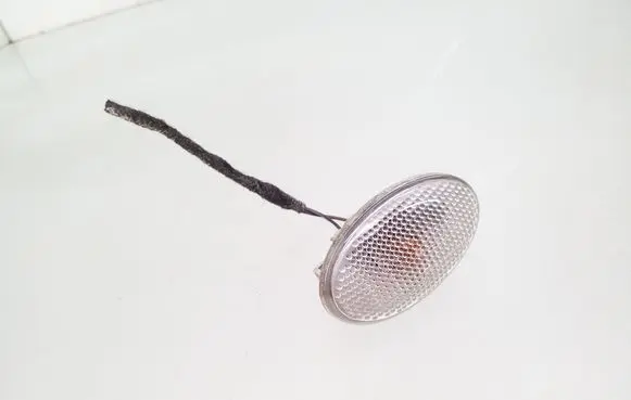 Front fender indicator light