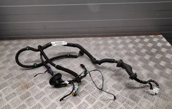 Tesla Model S Other wiring loom 100442500F