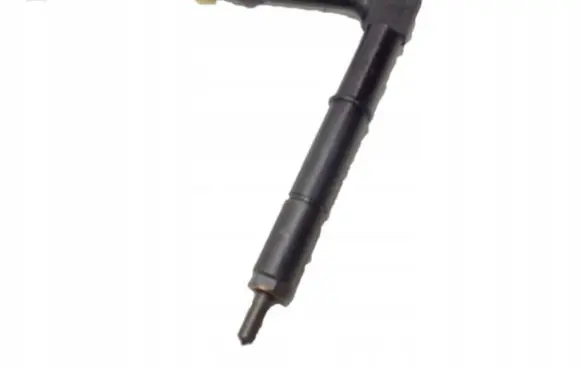Nissan Almera Tino Fuel injector 8620484391