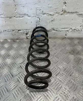 Renault Megane III Rear coil spring