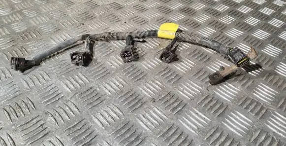Land Rover Freelander Fuel injector wires 