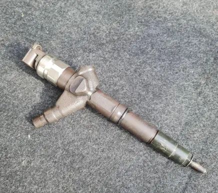 Nissan Pathfinder R51 Fuel injector 16600EB300 04G03835
