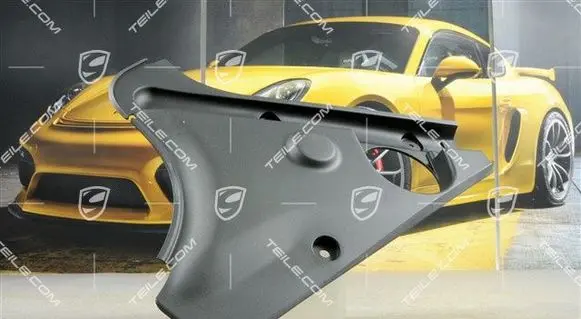 Porsche Panamera (970) Parcel shelf load cover 970504533021E0