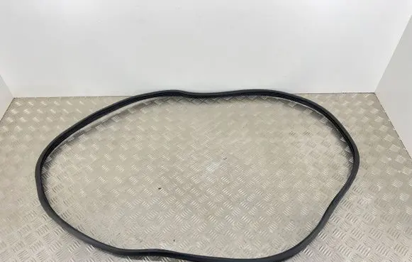 Hyundai Santa Fe Rear door rubber seal (on body) 