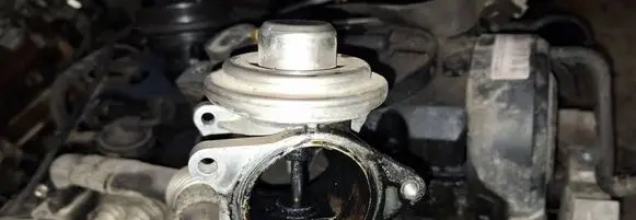 EGR valve