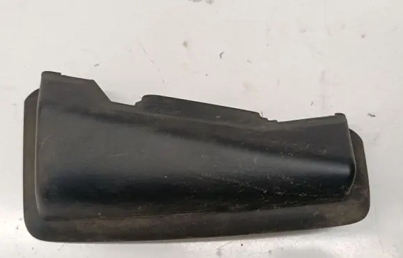 Rear/tail light trim molding