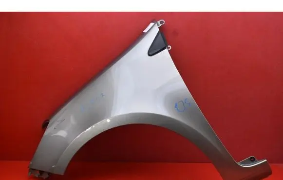 Renault Clio III Fender