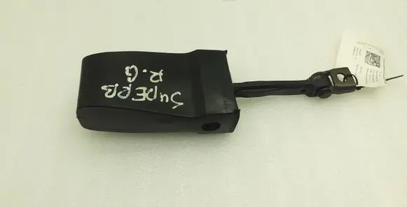 Skoda Superb B6 (3T) Rear door check strap stopper 3T0839249
