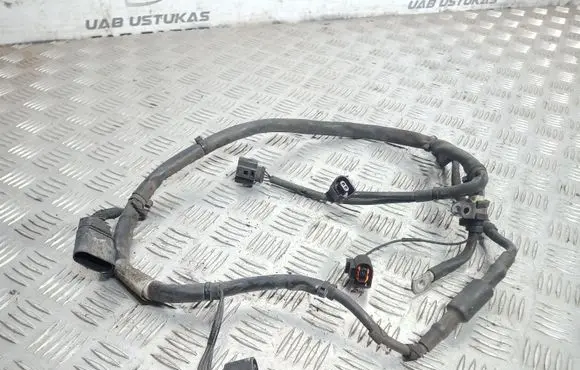 Volkswagen PASSAT B7 Wires (generator/alternator) 3C0971230