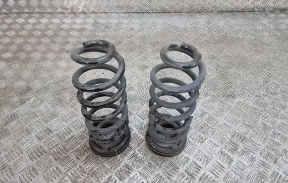 Rear coil spring