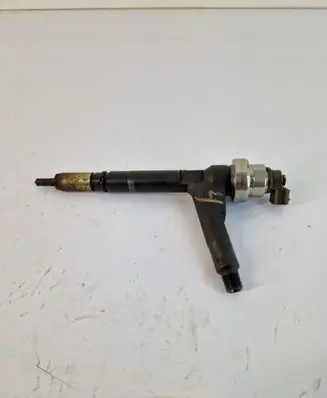 Opel Combo C Fuel injector 8973138612